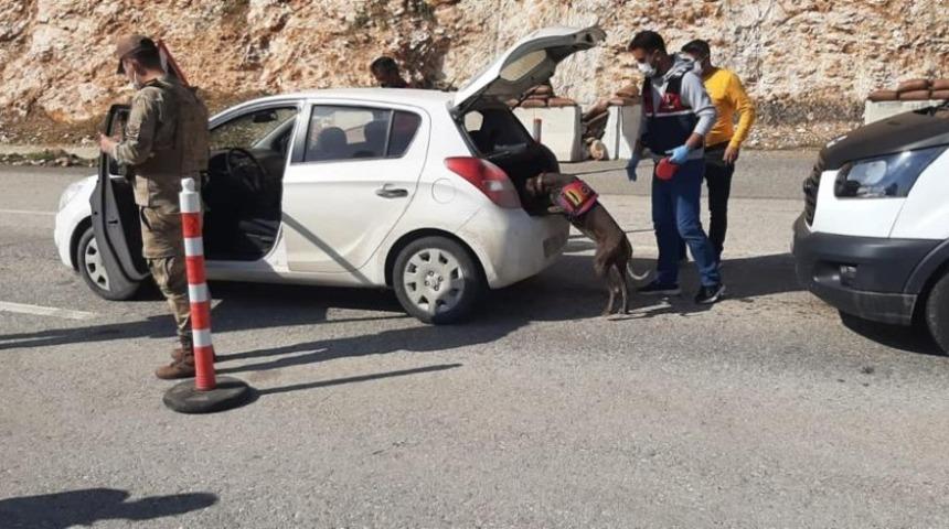 Jandarma ekiplerinden &lsquo;Huzurlu sokaklar&rsquo; uygulaması