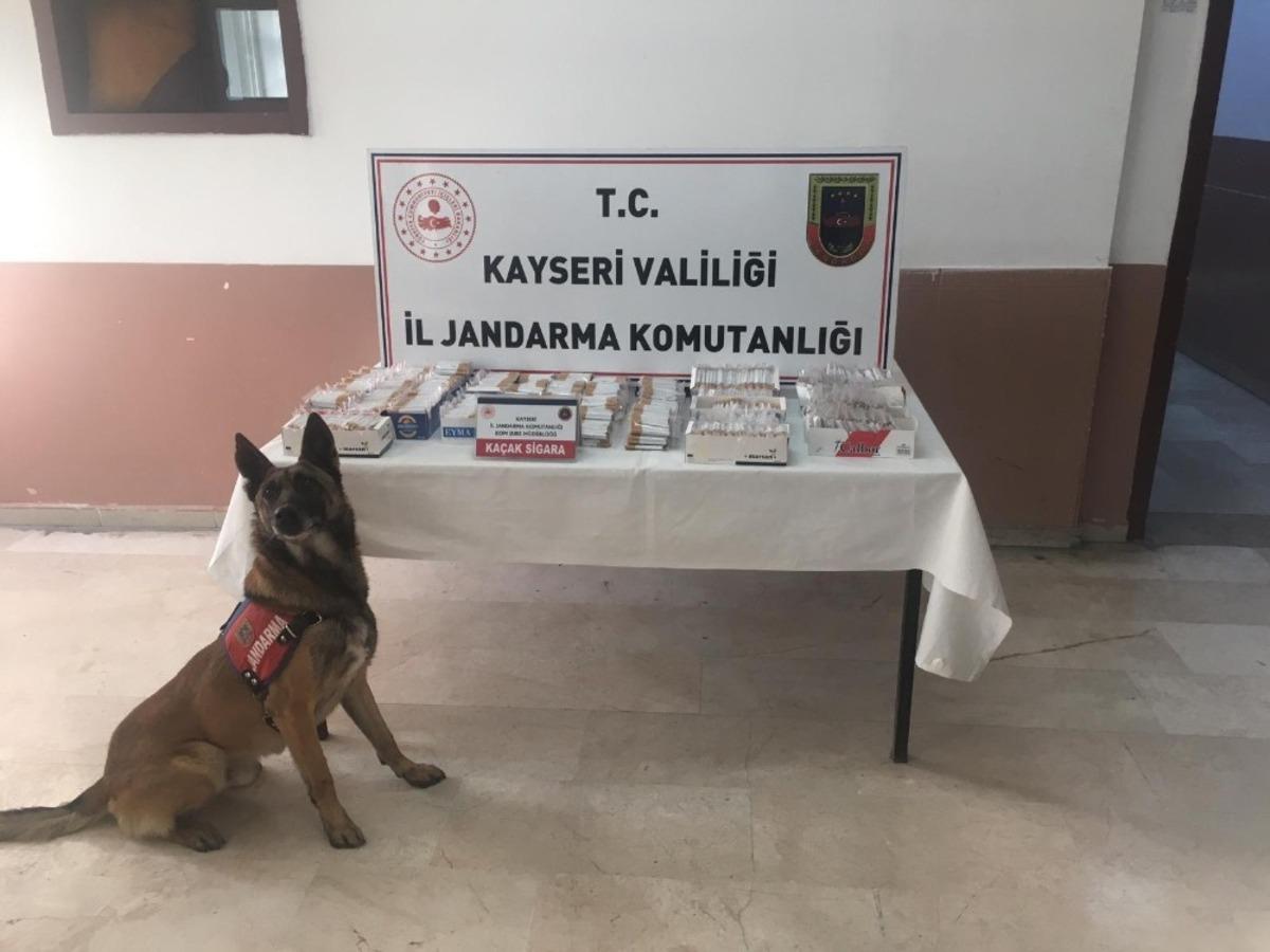 Jandarma 244 personelle 400 noktada &lsquo;Narkotik ve Huzurlu Sokakları&rsquo; uygulaması yaptı