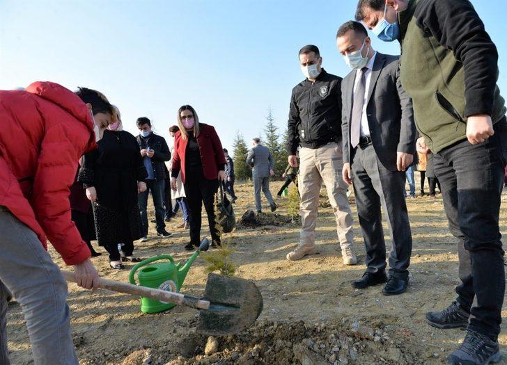 Mercan Hatıra Ormanı oluşturuldu G3