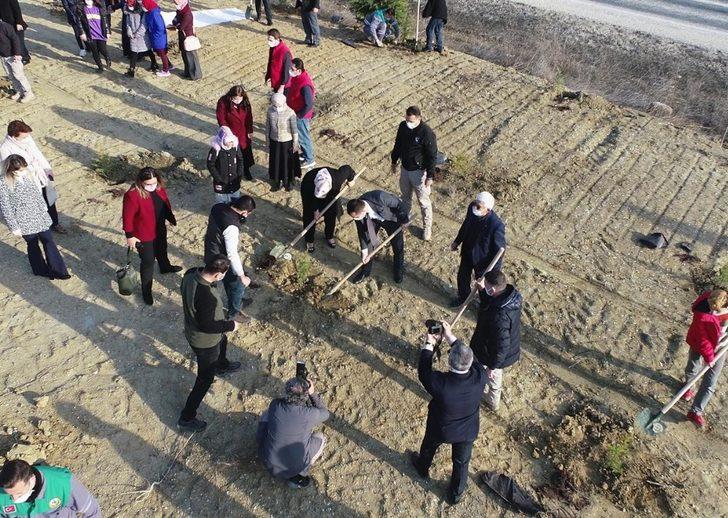 Mercan Hatıra Ormanı oluşturuldu G4