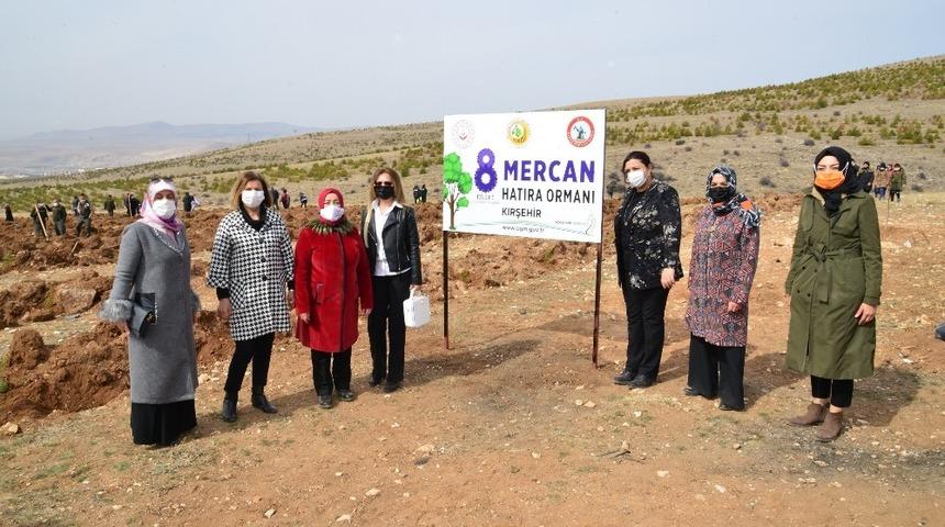 Kırşehir&rsquo;de, Mercan Ormanı oluşturuldu