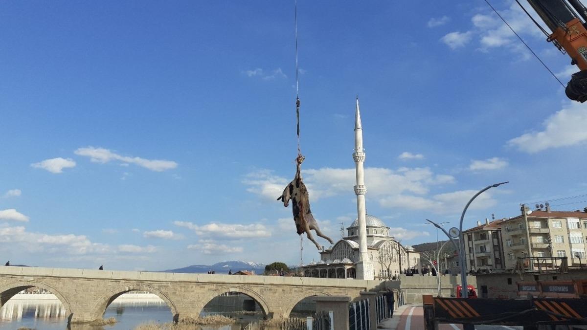 Kızılırmak&rsquo;a d&uuml;şen b&uuml;y&uuml;kbaş hayvan vin&ccedil; yardımı ile &ccedil;ıkarıldı