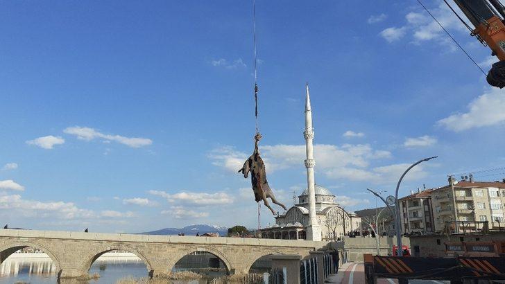 Kızılırmak’a düşen büyükbaş hayvan vinç yardımı ile çıkarıldı G1