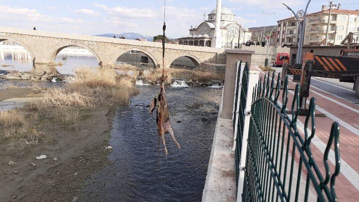 Kızılırmak’a düşen büyükbaş hayvan vinç yardımı ile çıkarıldı G2