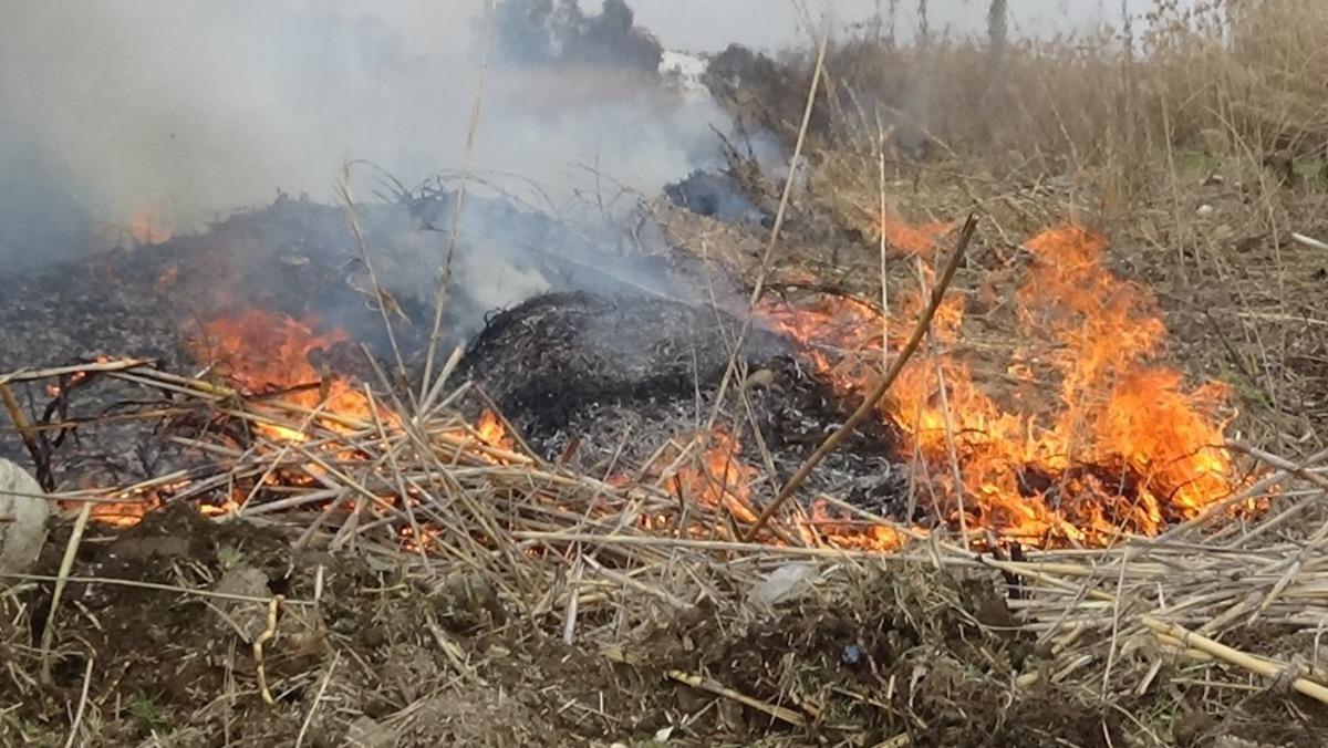 Sazlık yangını kısa s&uuml;rede s&ouml;nd&uuml;r&uuml;ld&uuml;