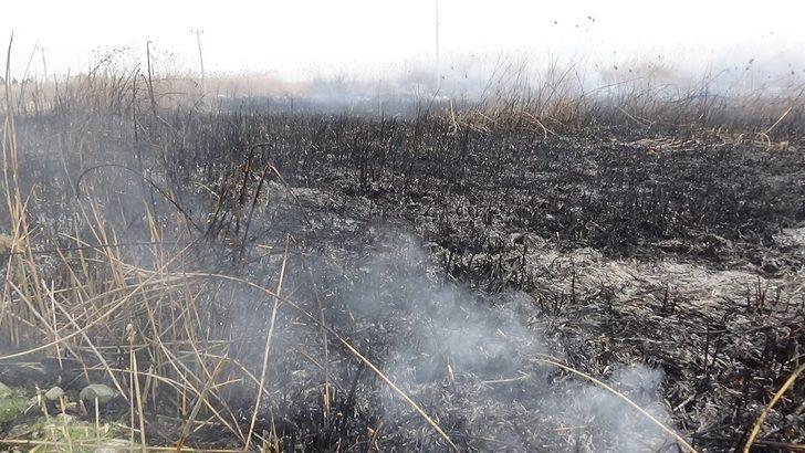 Sazlık yangını kısa sürede söndürüldü G3