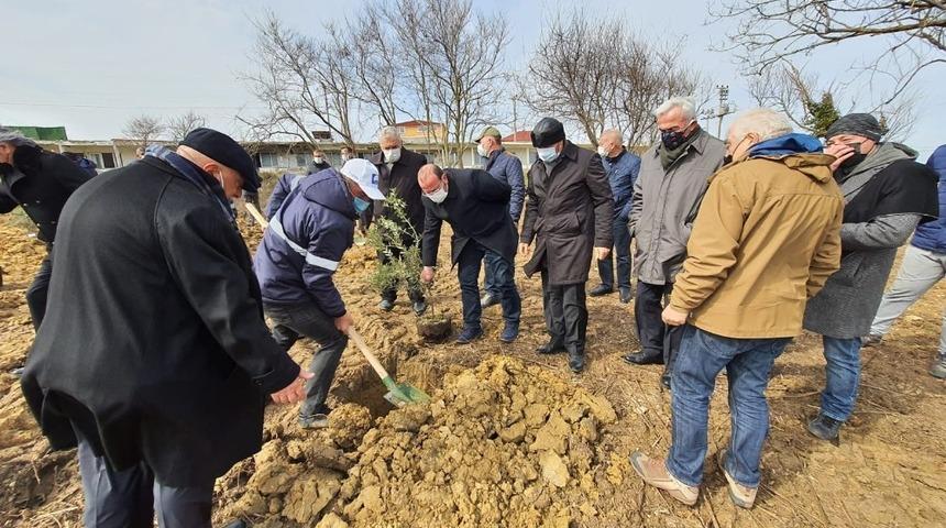 Babalı Sahili&rsquo;ne anlamlı hatıra ormanı