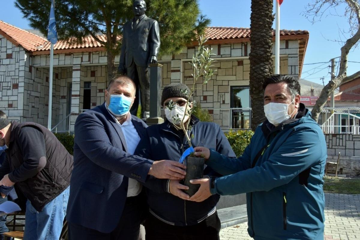 Aliağa&rsquo;da 684 &uuml;reticiye 17 bin 100 adet zeytin fidanı dağıtıldı