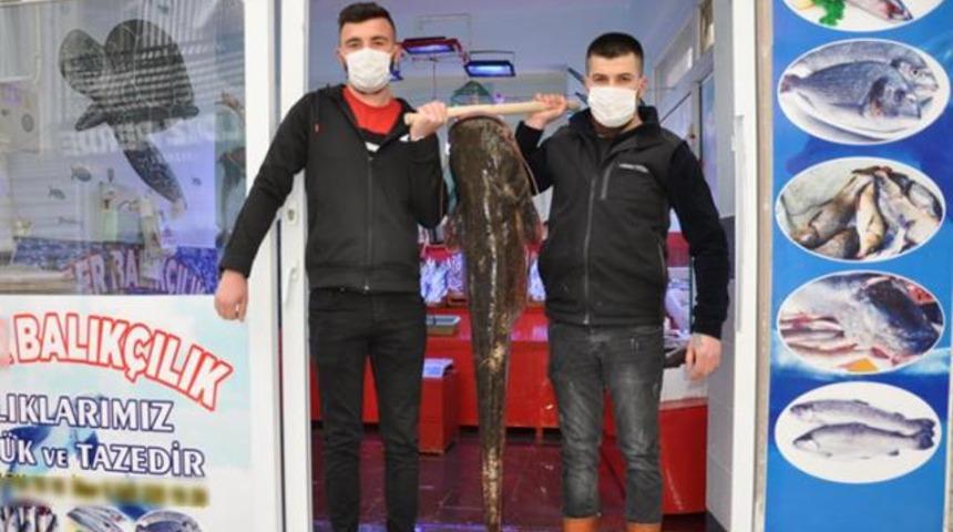 Dev balığı 200 TL’ye aldı! 'Uzun zamandır beklediğim siparişti'