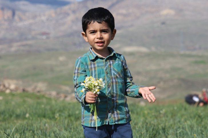 Önlem alınmazsa nergisler yok olacak G2