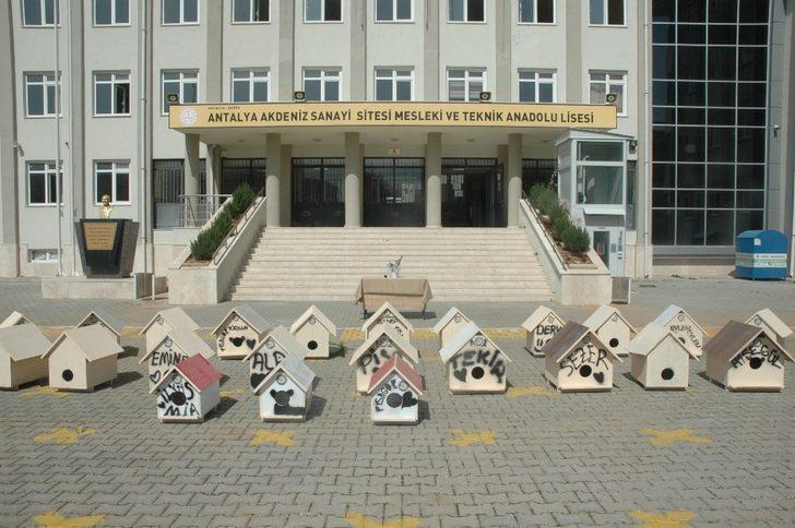 Muhtarlar istedi, lise öğrencileri yaptı G4