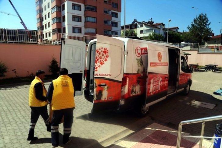 Geçici Hayvan Bakımevinde bin 819 köpek ve bin 213 kediye bakıldı G5