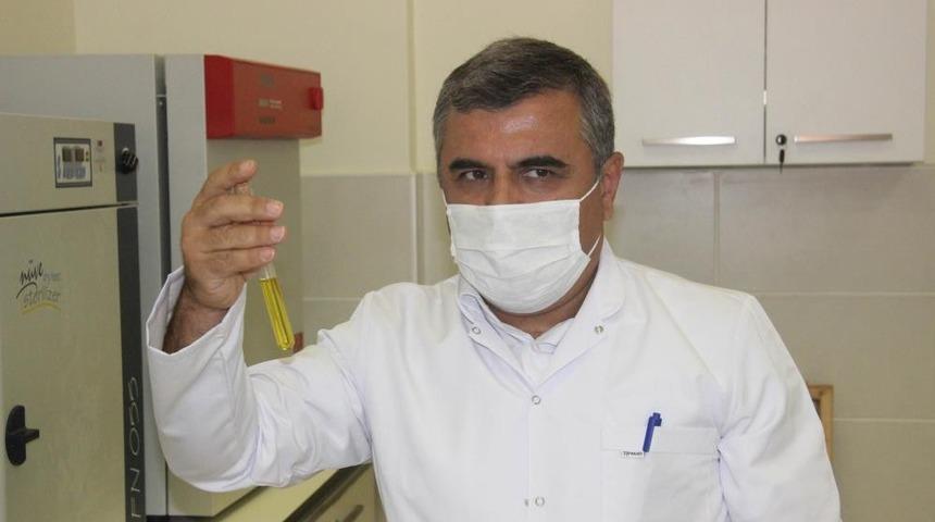 Kilis Zeytinyağı &ouml;d&uuml;le doymuyor