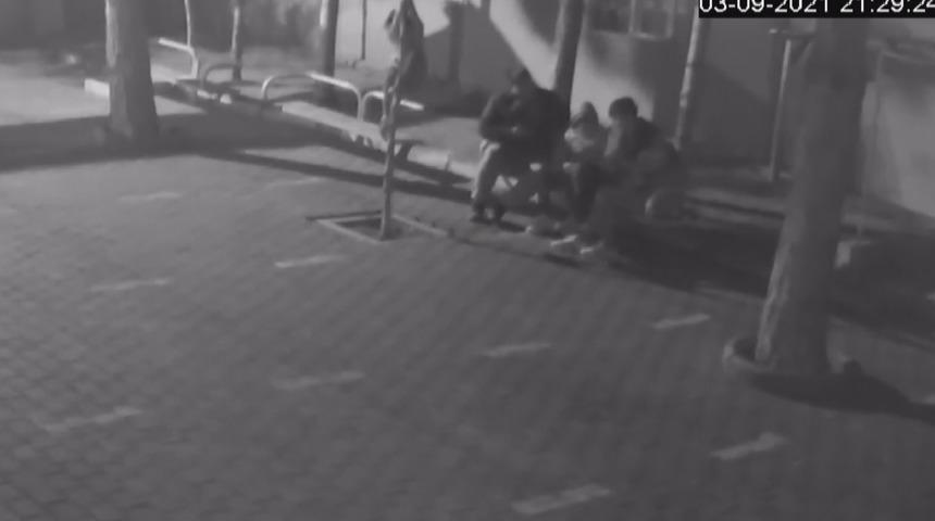 Sivas'ta ilginç olay: Genç kız cami bahçesindeki ağacı kırdı, arkadaşları tekrar tutturmaya çalıştı