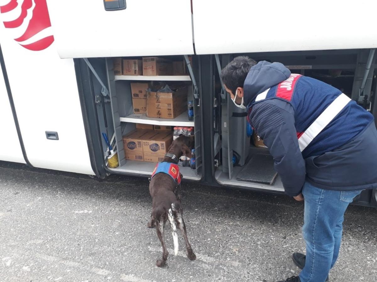 Jandarmadan 456 personelle &lsquo;Narkotik ve Huzur&rsquo; uygulaması