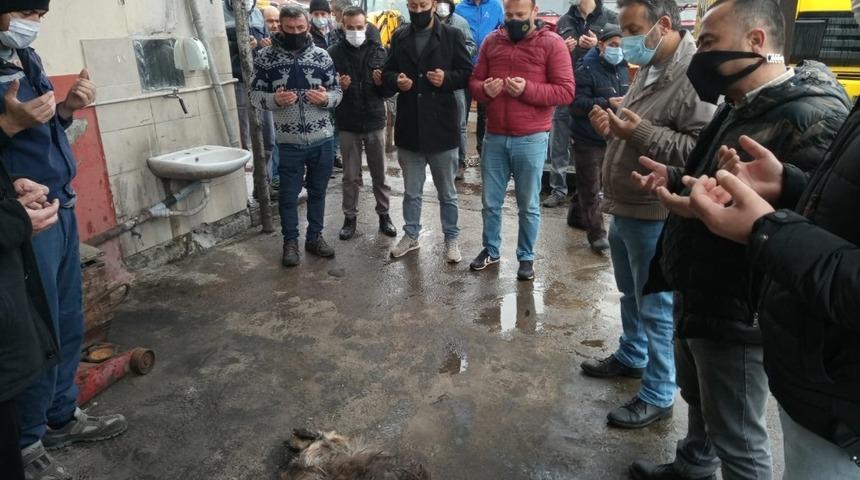 Yeni alınan araçlar için  kurban kesildi