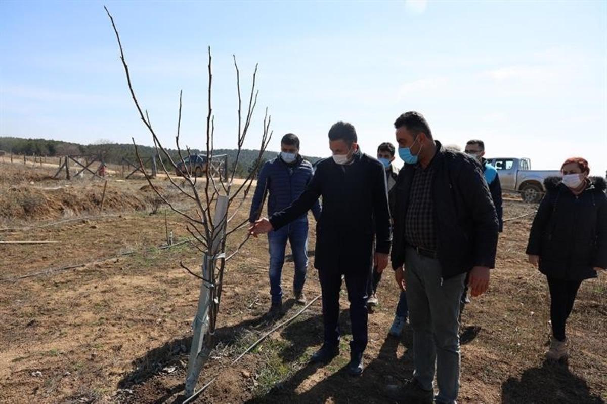 Tozman yaylalarının &ccedil;ehresi değişecek
