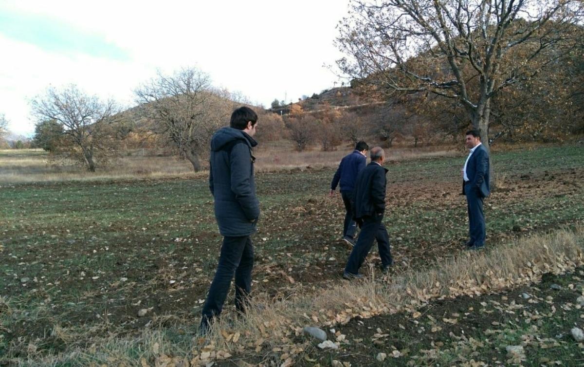 Organik siyez buğdayına talep artınca, &uuml;retim alanı genişletilmeye başlandı