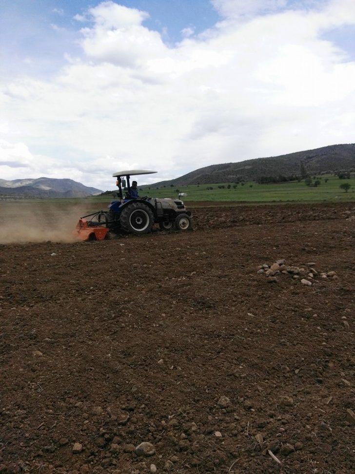 Organik siyez buğdayına talep artınca, üretim alanı genişletilmeye başlandı G3