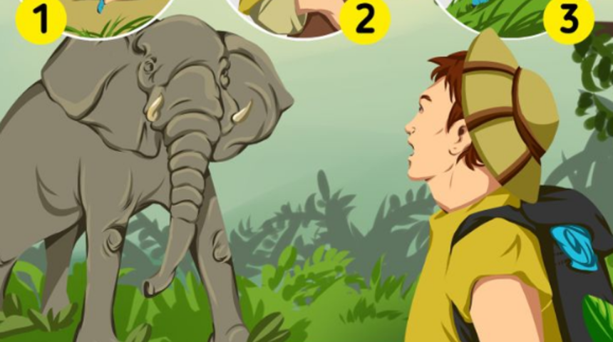 Çözümü bulun! Acil durumlar karşısında nasıl reaksiyon verirsiniz? 