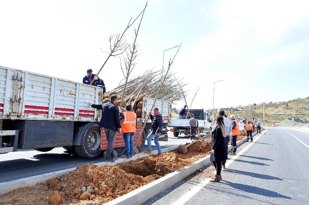 Diyarbakır&rsquo;ın il&ccedil;eleri yeşilleniyor