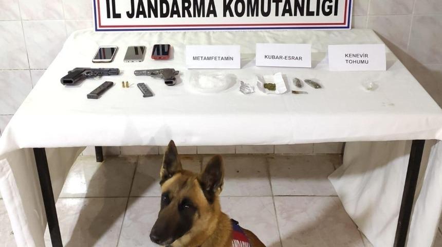 Jandarma zehir tacirlerine ge&ccedil;it vermiyor: 1 tutuklama, 1 adli kontrol