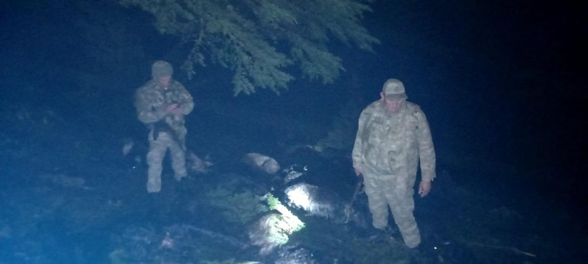 Yıldırım d&uuml;şt&uuml; 41 hayvan telef oldu