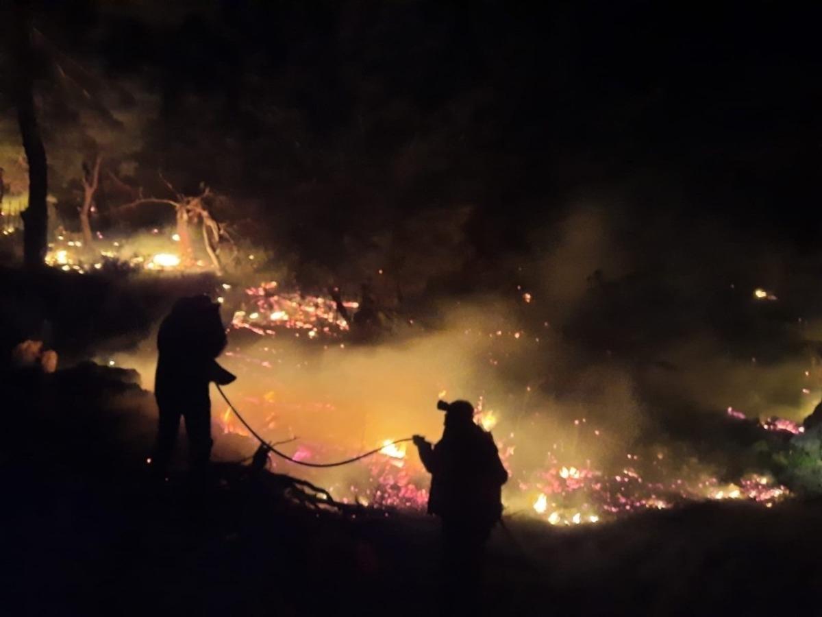 Antalya&rsquo;daki yangında 1 hektar kızıl&ccedil;am ormanı zarar g&ouml;rd&uuml;