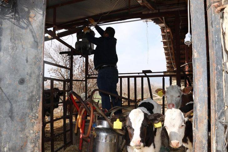 9 büyükbaş hayvanı telef olan vatandaşa büyükşehirden 3 gebe inek G3