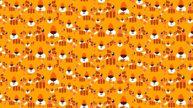 Görsel yeteneklerinizin seviyesini biliyor musunuz? Verilen görseldeki kediyi görebiliyor musunuz?