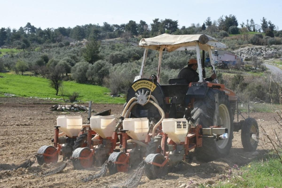 Tarsus Belediyesi, yerli ay&ccedil;i&ccedil;eği tohumlarını toprakla buluşturdu