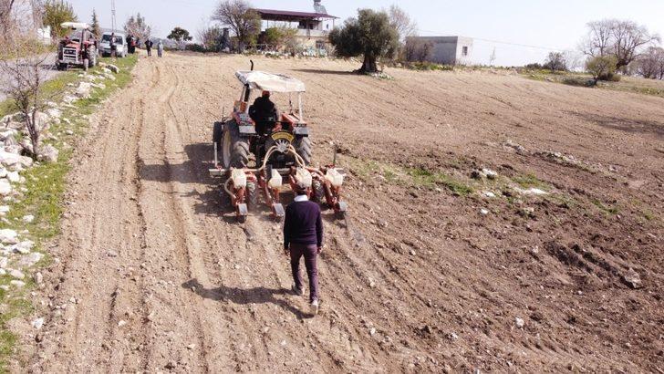 Tarsus Belediyesi, yerli ayçiçeği tohumlarını toprakla buluşturdu G2