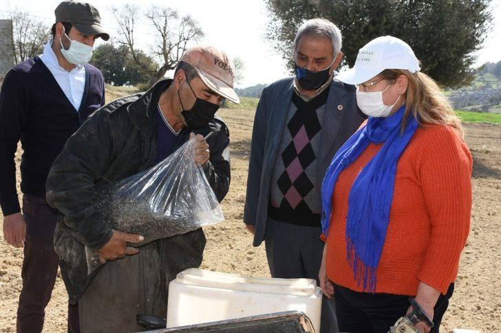 Tarsus Belediyesi, yerli ayçiçeği tohumlarını toprakla buluşturdu G5