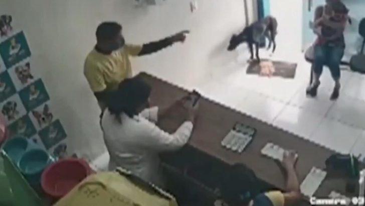 Brezilya’da kliniğe giren köpekte tümör tespit edildi G1