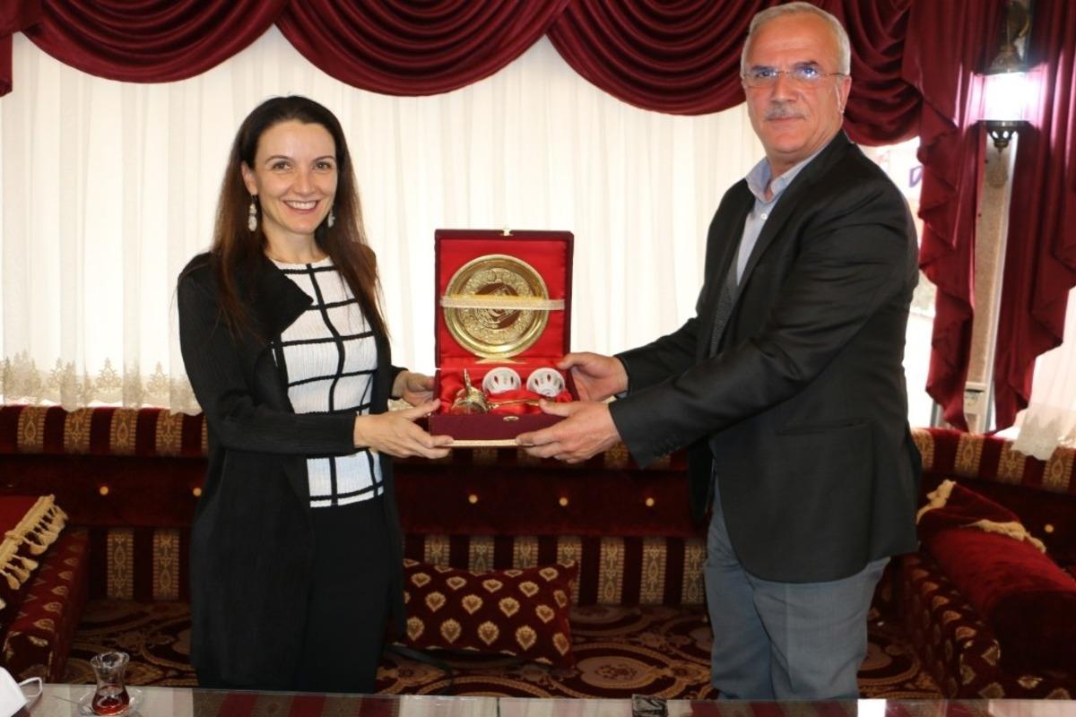 Unıcef T&uuml;rkiye temsilcisi Şanlıurfa&rsquo;da