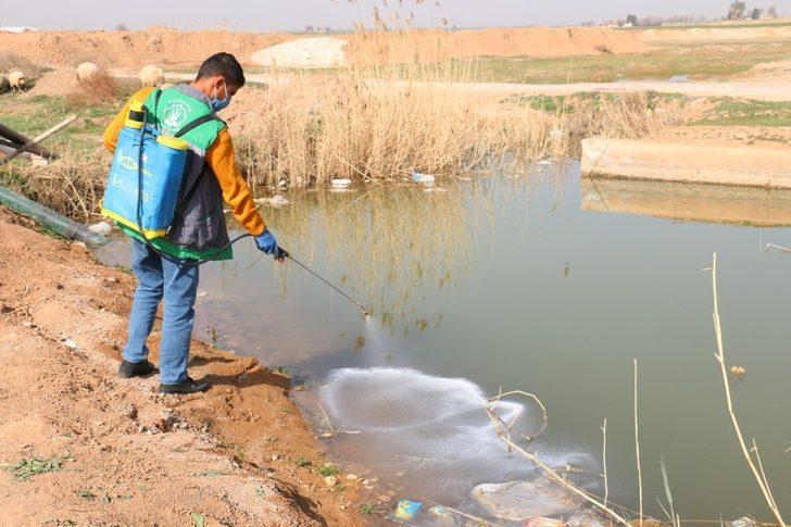 Akçakale’de haşere ile mücadelede hummalı çalışma G1
