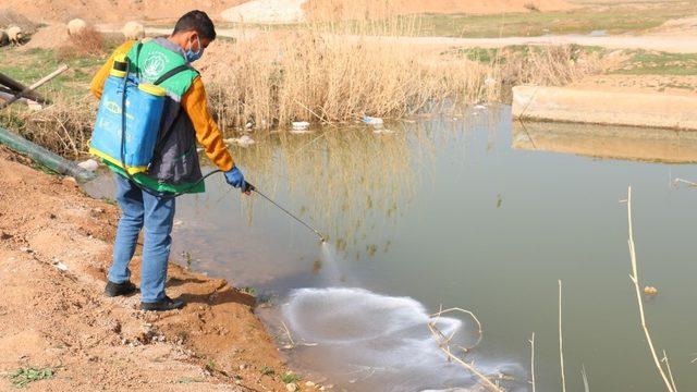 Akçakale’de haşere ile mücadelede hummalı çalışma