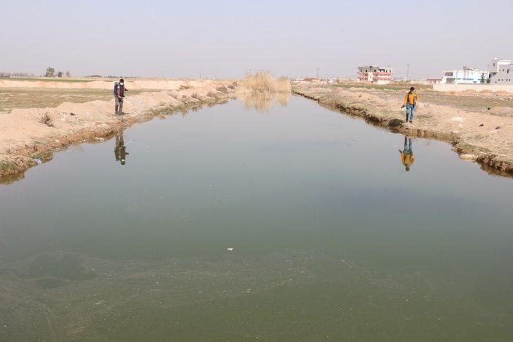 Akçakale’de haşere ile mücadelede hummalı çalışma G2