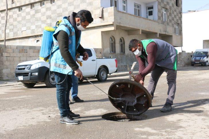 Akçakale’de haşere ile mücadelede hummalı çalışma G3