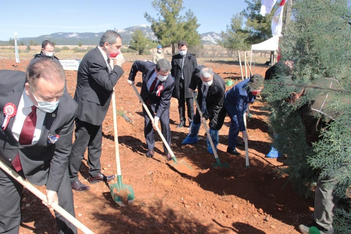 İstiklal Marşı&rsquo;nın 100&rsquo;&uuml;nc&uuml; yıl hatıra ormanı