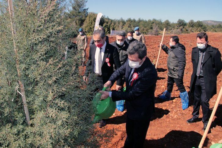 İstiklal Marşı’nın 100’üncü yıl hatıra ormanı G2