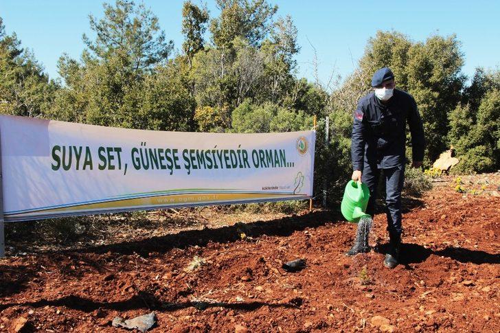 İstiklal Marşı’nın 100’üncü yıl hatıra ormanı G4