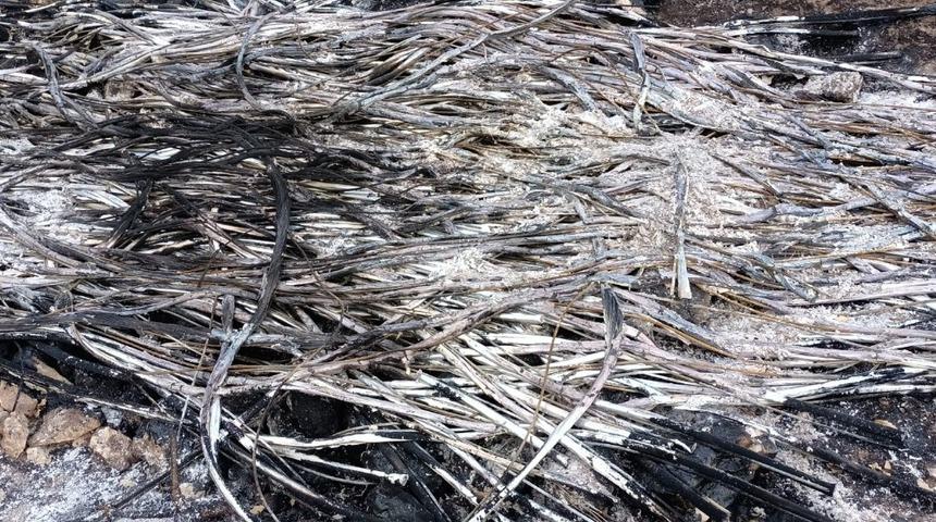 &Ccedil;aldıkları kabloları yakarken yakalanan 3 ş&uuml;pheli tutuklandı