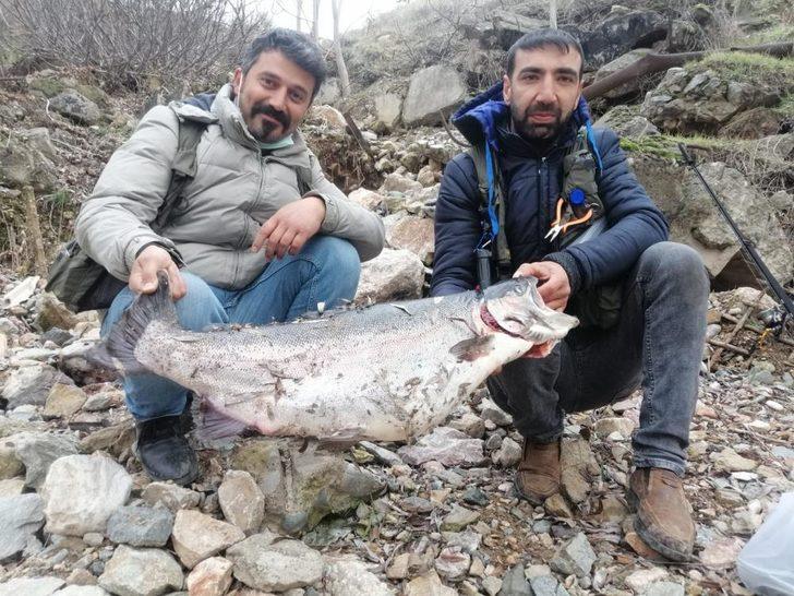 Türkiye ve Avrupa'nın en büyük alabalığı Elazığ'da olta ile yakalandı
