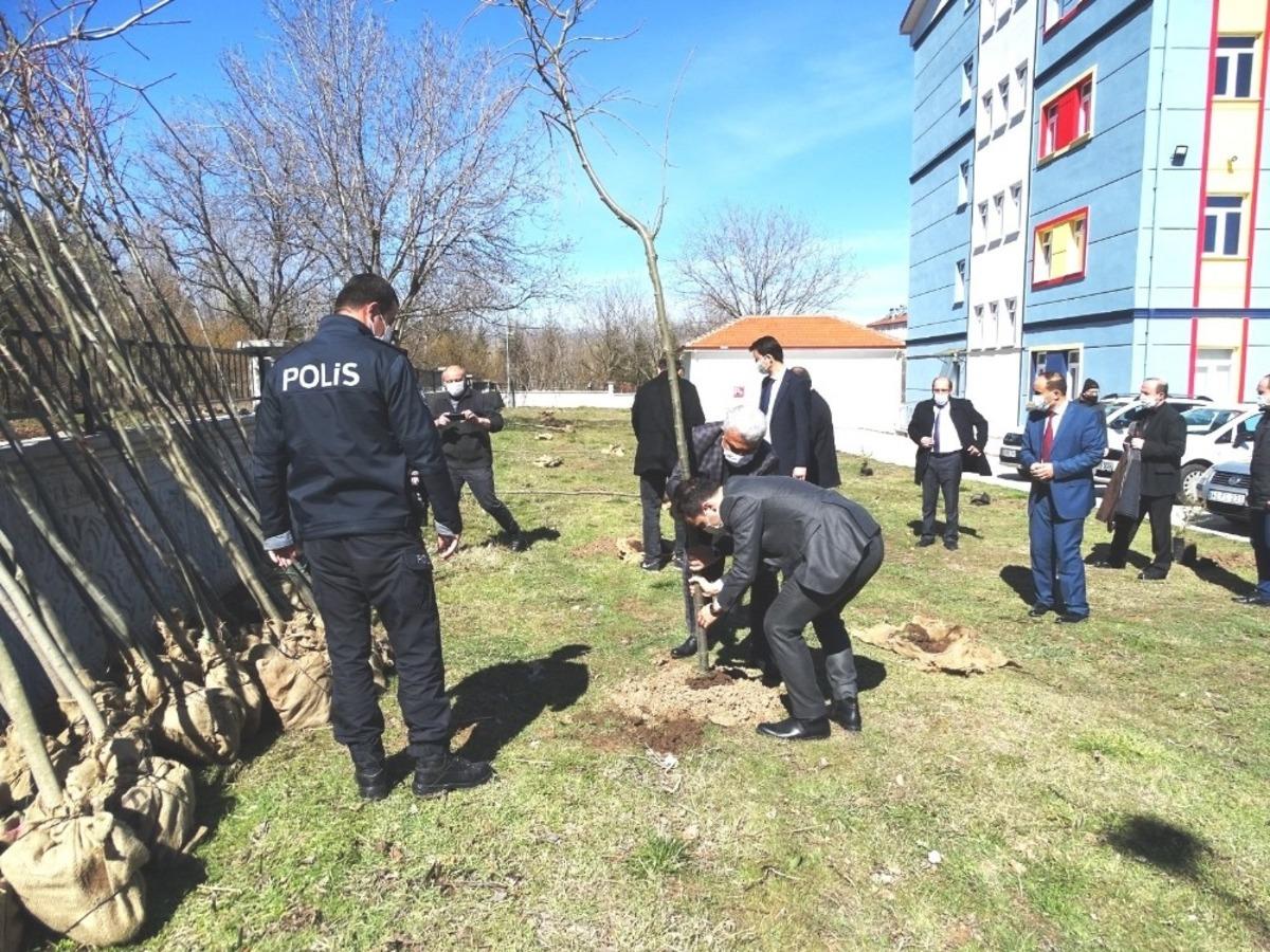 Okul bah&ccedil;esine 410 fidan dikildi
