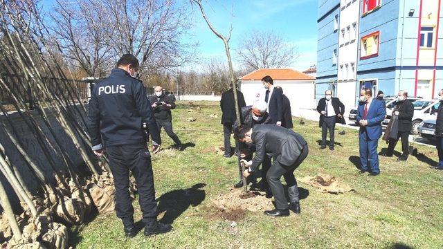 Okul bahçesine 410 fidan dikildi