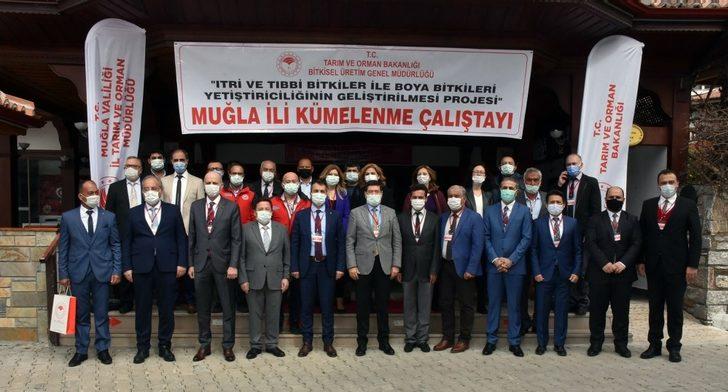 Barış Saylak; “Muğla endemik bitki zengini” G2