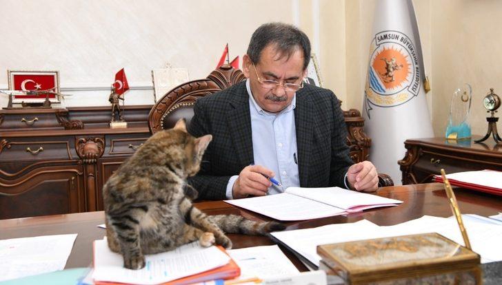 Makamda bir kedi: ’Mayıs’ G2