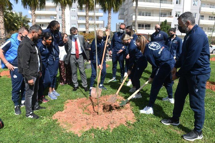 Mimozalar Yenişehir’de toprakla buluştu G2