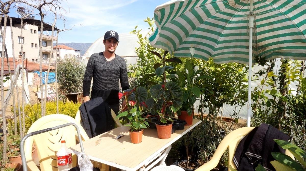 Sarıg&ouml;l&rsquo;de fidan satışları hız kazandı